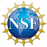 [logo NSF]